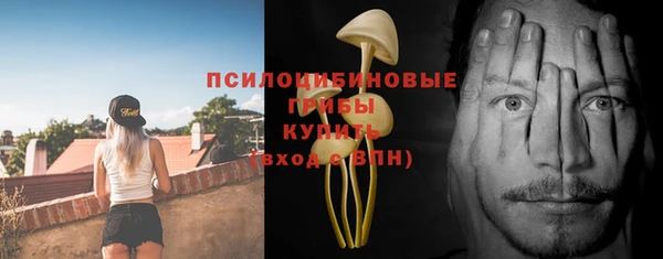 герыч Богородицк