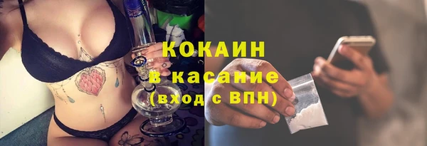 прущий лед Богданович
