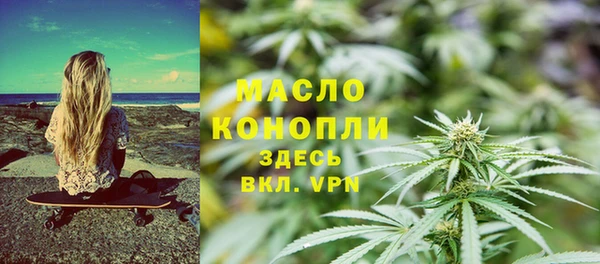 прущий лед Богданович