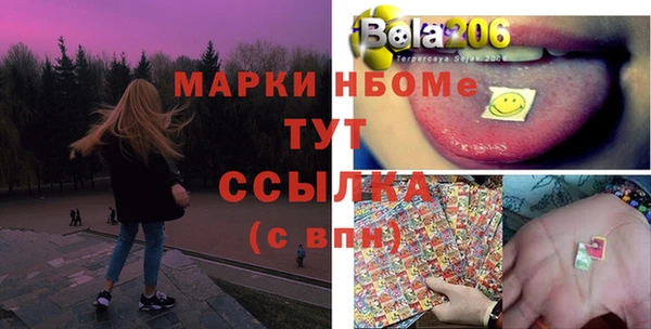 прущий лед Богданович