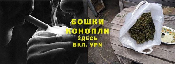 прущий лед Богданович